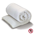 Immagine di Piumino Ignifugo Reven 200 Gsm