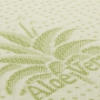 Immagine di Coprimaterasso Topper Aloe Dream By T&C