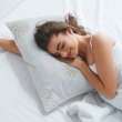 Immagine di Guanciale Memory Aloe Dream Dormire By T&C