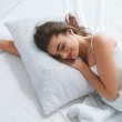 Immagine di Guanciale Memory Argento Dormire By T&C